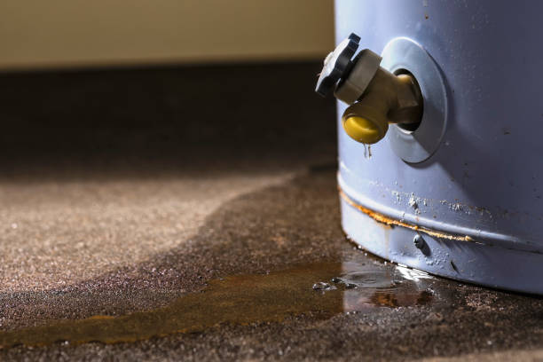 Best Mold removal after water damage  in Centerville, UT