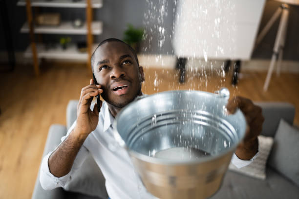 Best Flood restoration services  in Centerville, UT