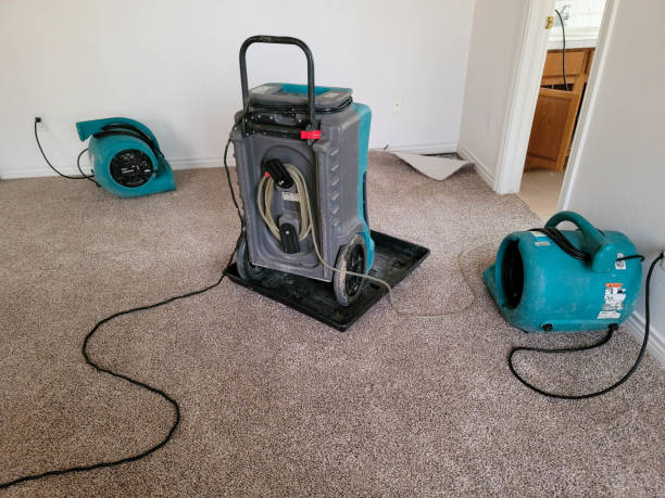 Local water damage restoration in Centerville, UT