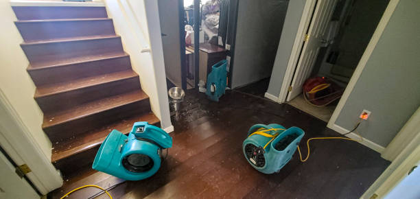 Best Residential water damage restoration  in Centerville, UT