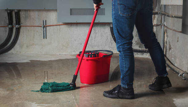 Best Sewage cleanup and water damage restoration  in Centerville, UT