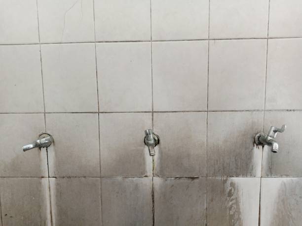 Best Fire Damage Restoration  in Centerville, UT