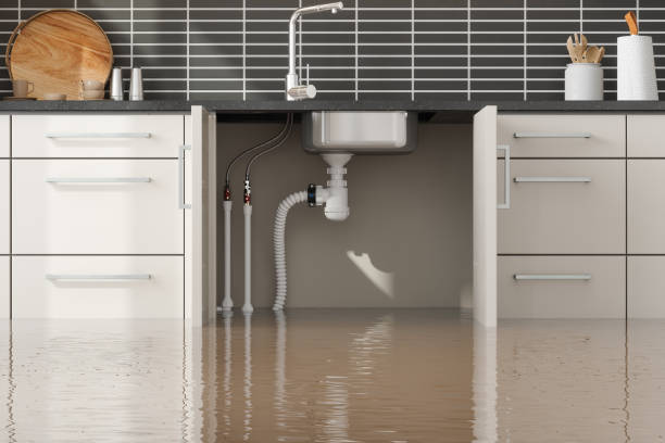 Best Water damage restoration near me  in Centerville, UT