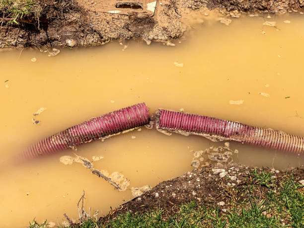Best 24-hour water damage restoration  in Centerville, UT